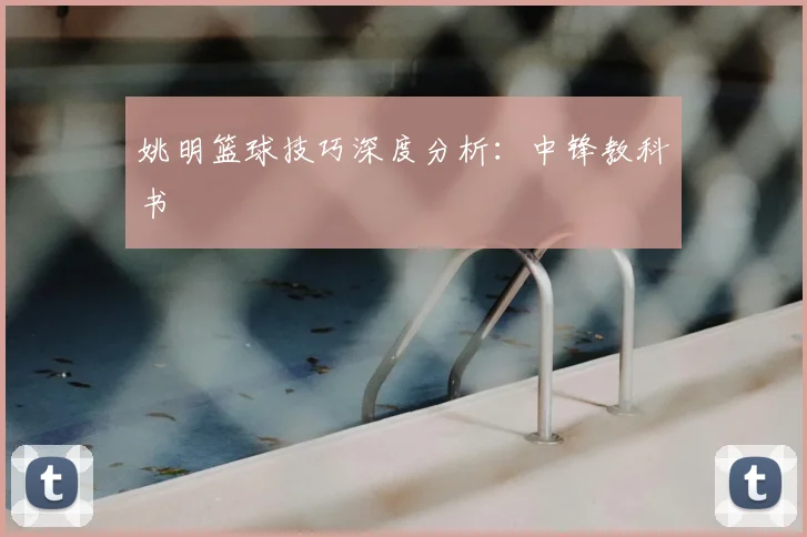 姚明篮球技巧深度分析:中锋教科书