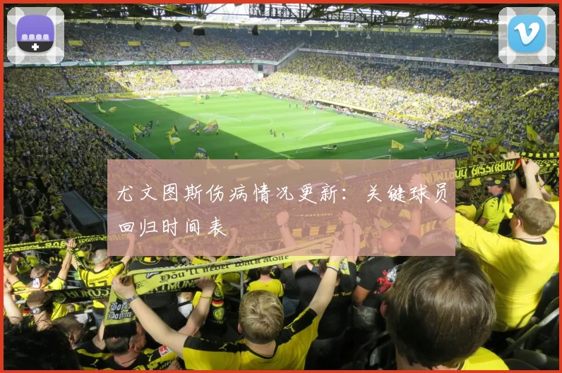 尤文图斯伤病情况更新：关键球员回归时间表
